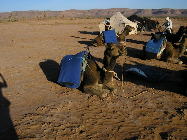 Soon after arriving at our camp site for the night