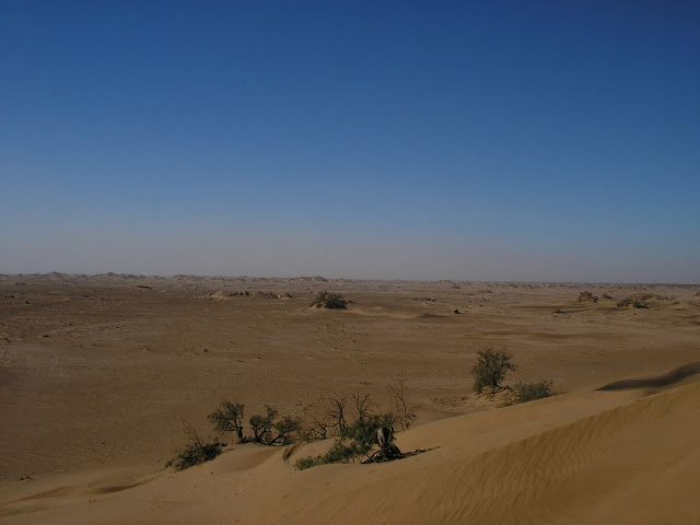 View from a sand dune at a rest stop deeper in the Sahara