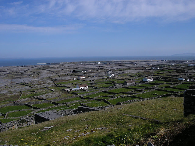 panorama