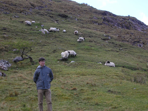 Simon close to sheep
