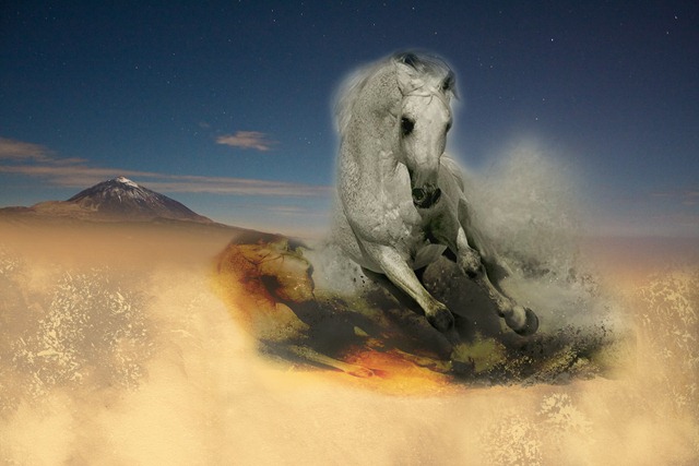 [horsepower[4].jpg]