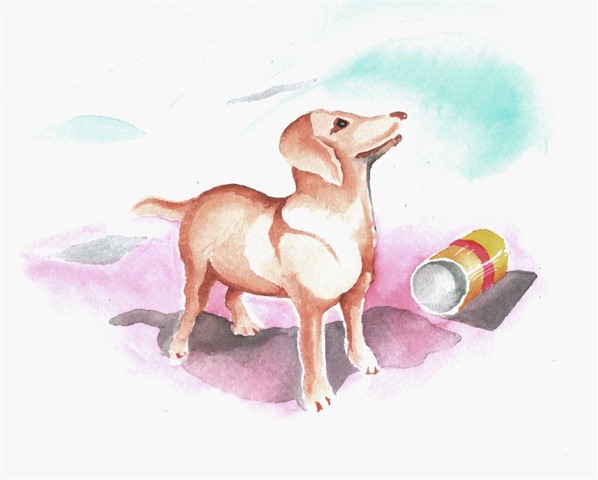 [cachorrocom vento (Large)[4].jpg]