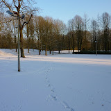 P1000288.JPG