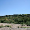 IMG_7329.jpg