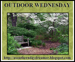 [Outdoor_Wednesday_logo[4][2].png]