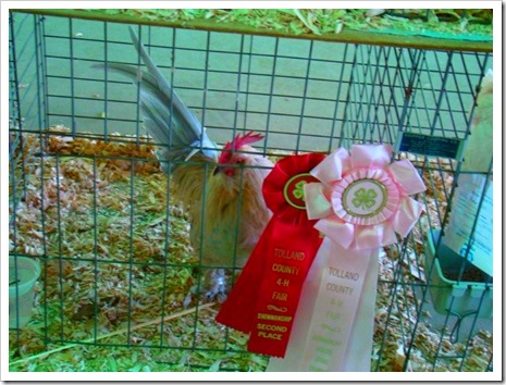 Telah's ribbons & chix 8-7-09