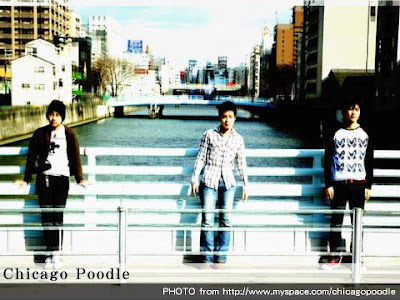 Chicago Poodle