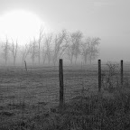 A foggy morning in Linn County