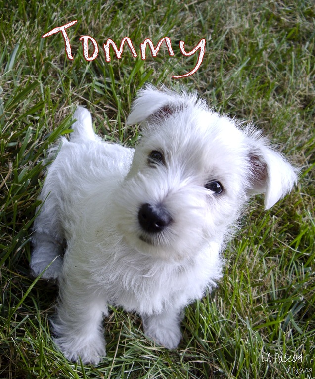 [Tommy7-3-09[14].jpg]
