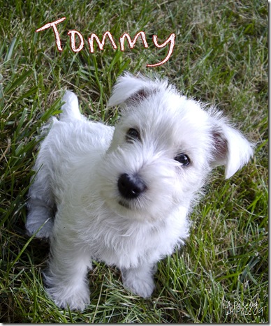 Tommy7-3-09
