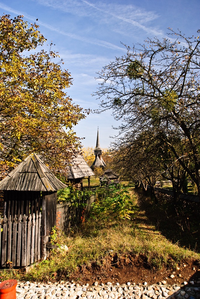 [DSC_01096.jpg]