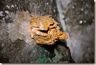 turda-salt-mine-salted-wood-2