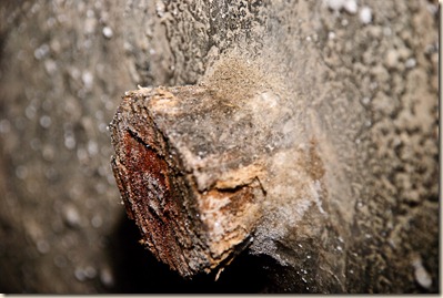 turda-salt-mine-salted-wood-3