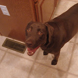 Lucy's 4th Birthday!