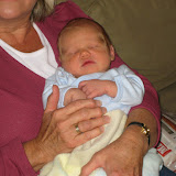 Introducing...Brendan!