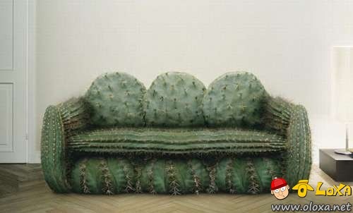 sofas um pouco estranhos