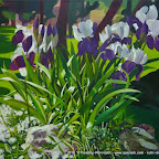 Irises and Dog, acrilico su tela, cm 90 x 80