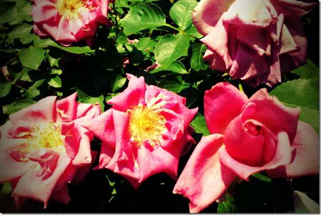 FxCam_1305134556050