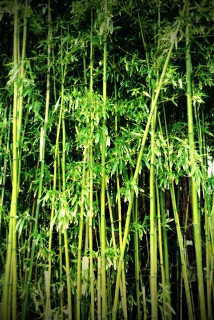 [FxCam_1305134822704[5].jpg]