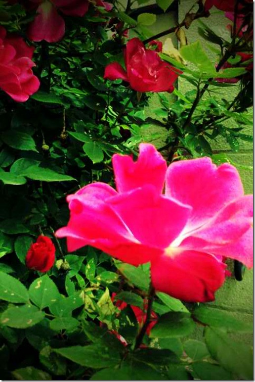 FxCam_1305134866515