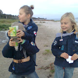 efterår 2009 mobil ann 037.jpg