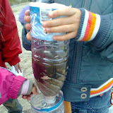 efterår 2009 mobil ann 042.jpg