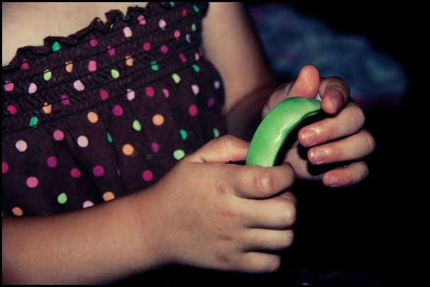 DSC_1735 DSC_1735