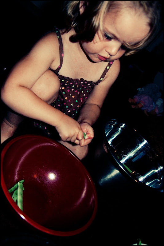 DSC_1742 DSC_1742