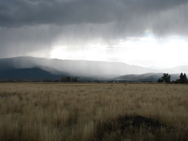 [IMG_17413.jpg]