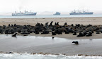 Landzunge von Pelican Point und dahinter die Bucht von Walvis Bay Landzunge von Pelican Point und dahinter die Bucht von Walvis Bay