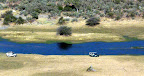 Safari Autos auf Pirschfahrt Safari Autos auf Pirschfahrt