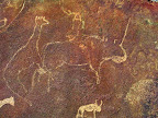Giraffe, Nashorn und Gnu. Giraffe, Nashorn und Gnu.