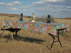 Table with a view, @ our " King Hoodia " camp, not King Salmon or King Cobra!