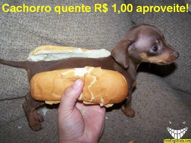 Cachorro Quente
