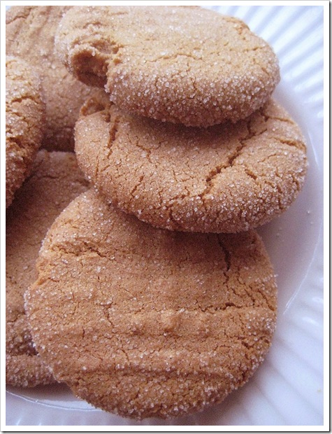 Ginger cookie1_edited