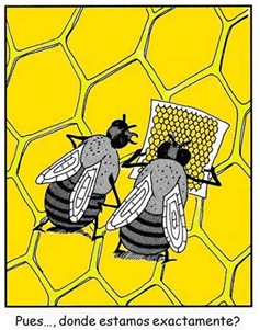humor-abejas