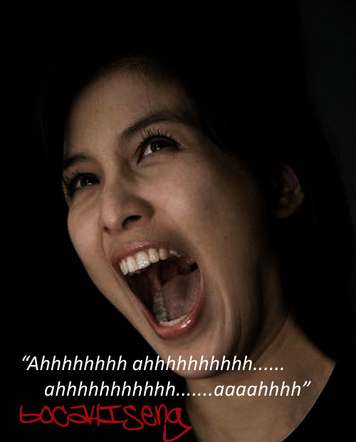 foto sandra dewi