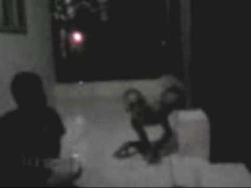 video tuyul