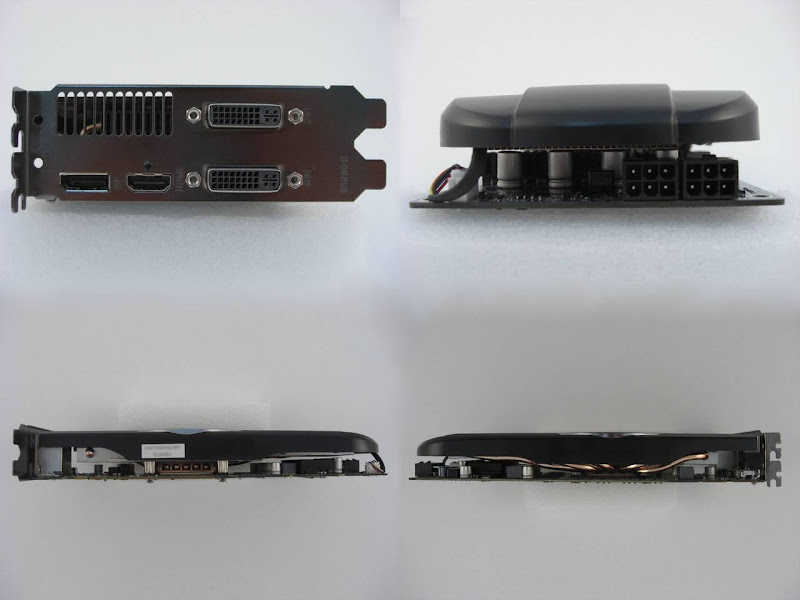 583005.jpg