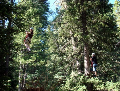 Aspen grove 2009 124