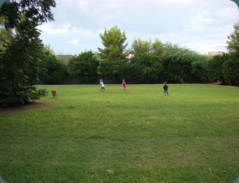 DSC02675