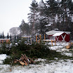 Baumfällarbeiten 009.jpg