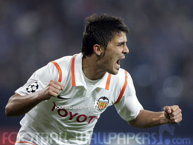 [david_villa_8_1024x768[2].jpg]