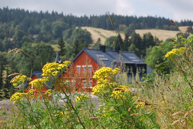 [2009-08-11 002[13].jpg]