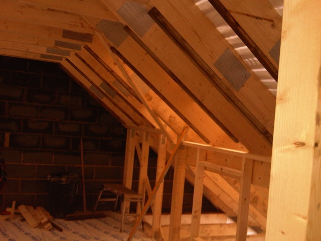 [Goodby plot 1 in the roof[2].jpg]