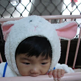 DSC06882.JPG