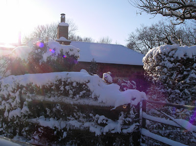 Cottage in Winter wonderland