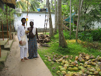 Nothing better than fresh coconuts, Kovalam