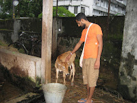 Accepting blessings, Cochin