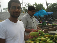 Picking some mangoes, Delhi